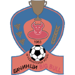 FK Big Bull Radnicki