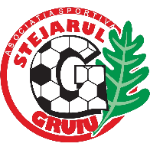 AS Stejarul Gruiu