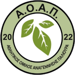 AO Anagennisis Palioura