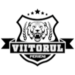 ACS Viitorul Perieni