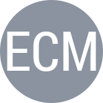 E. Cocciaretto / M. S. A. Abdelaziz