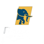 First Bank Football Club