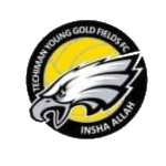 Techiman Goldfields FC