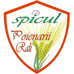 Spicul Poienarii Rali