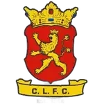 Cringila Lions FC
