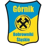 KS Górnik Bobrowniki Śląskie