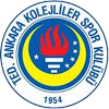 Ted Ankara Kolejliler