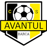 ACS Avântul Bârca