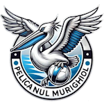 AS Pelicanul Murighiol