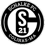 Schalke 21