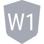 W100