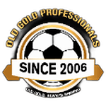 FC Old Gold Professional