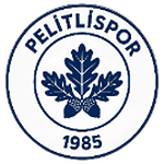 Yeni Pelitlispor