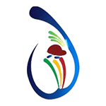 Super Provincial One Day Tournament