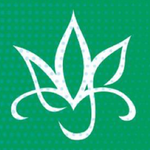 Cataleya Cup